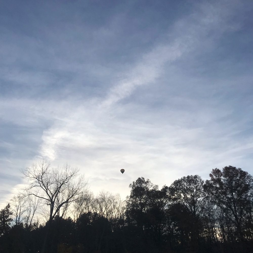 Meet your Posher, Leila